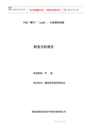 中南“摩尔”mall）中南国际商城财务分析报告