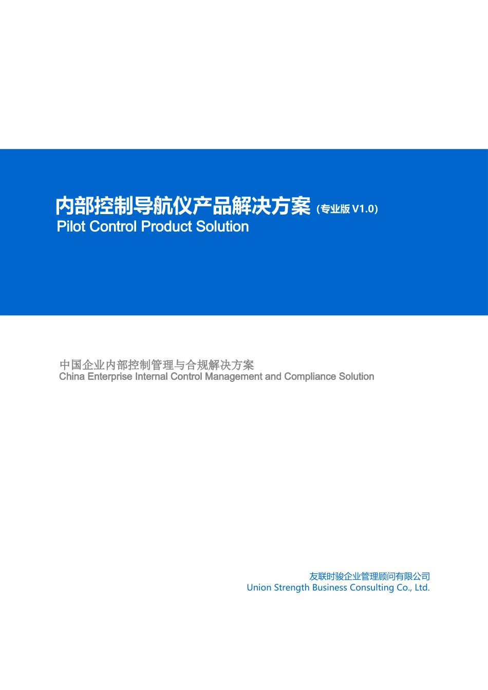 友联时骏内部控制解决方案_第1页