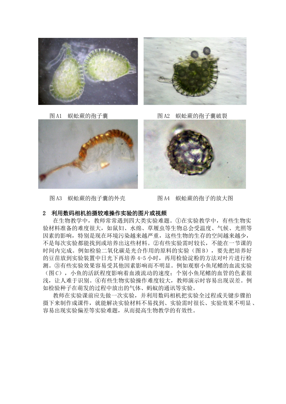 善用数码相机,提高生物教学的有效性_第2页