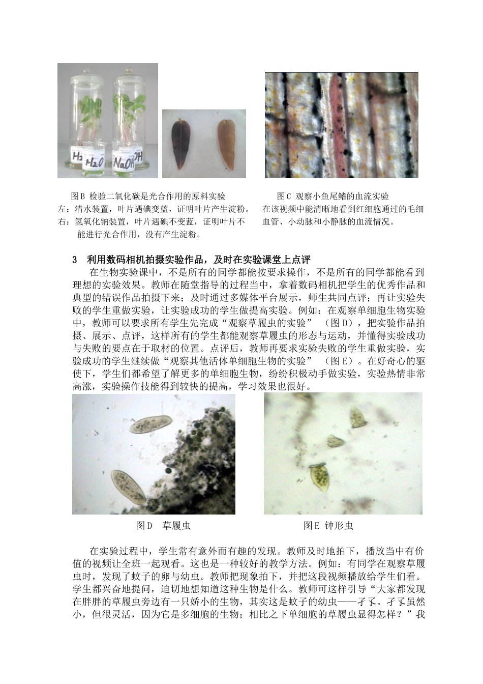 善用数码相机,提高生物教学的有效性_第3页