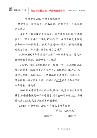 中金黄金某年度财务报表分析
