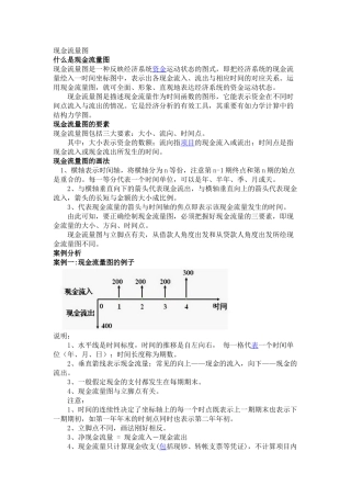 现金流量图(5页)