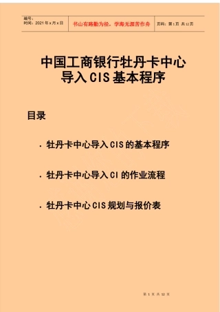 中国某银行牡丹卡中心vis手册报价