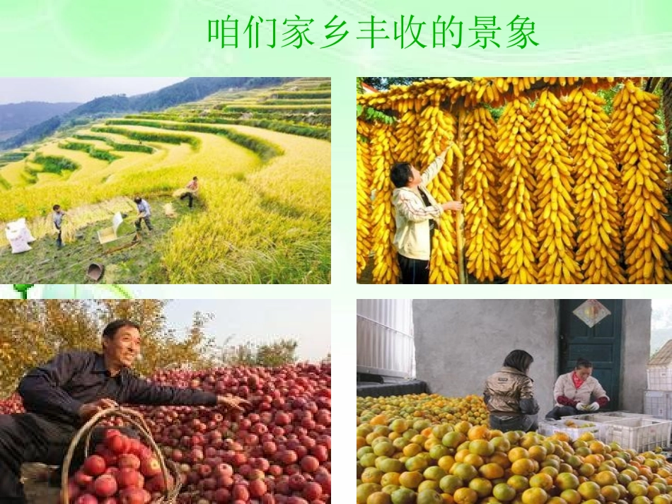 余数和除数的关系课件_第2页