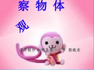 观察物体 (2)