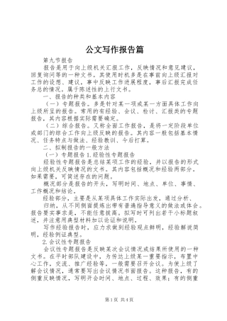 公文写作报告篇