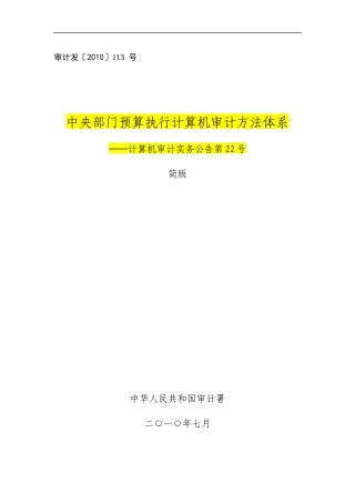 计算机审计实务公告简版