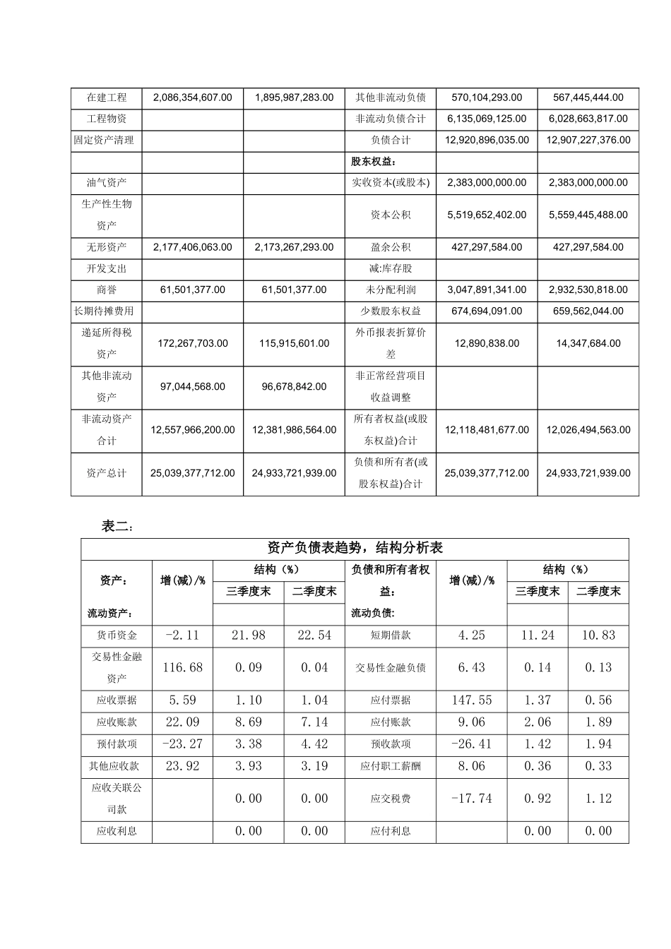四川长虹电器股份有限公司财务报表分析_第2页