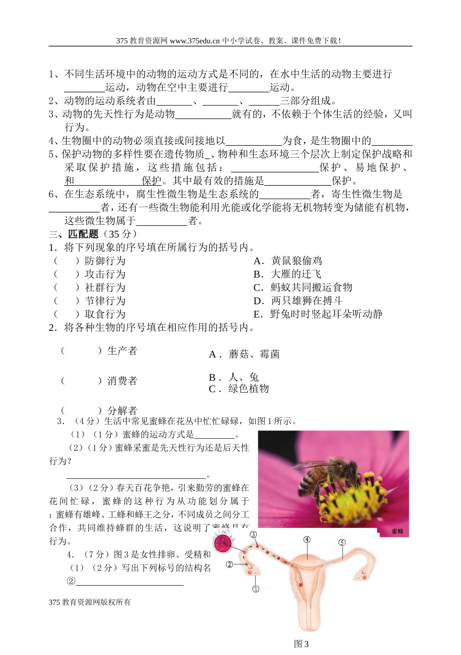 太和中学八年级生物上册期中考试试卷_第3页