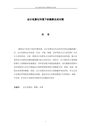 会计电算化环境下的舞弊及其对策