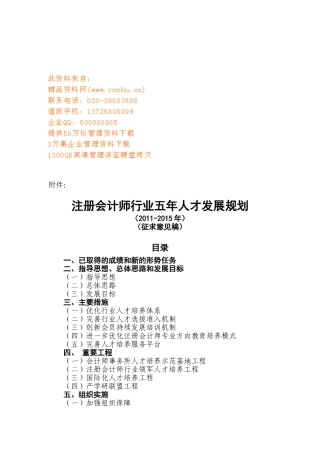 试谈注册会计师行业五年人才发展规划