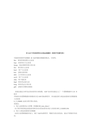 谈在SAP中用承诺项目出现金流量表