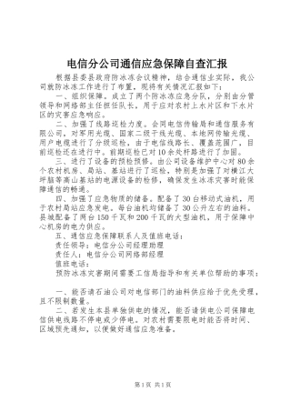 电信分公司通信应急保障自查汇报