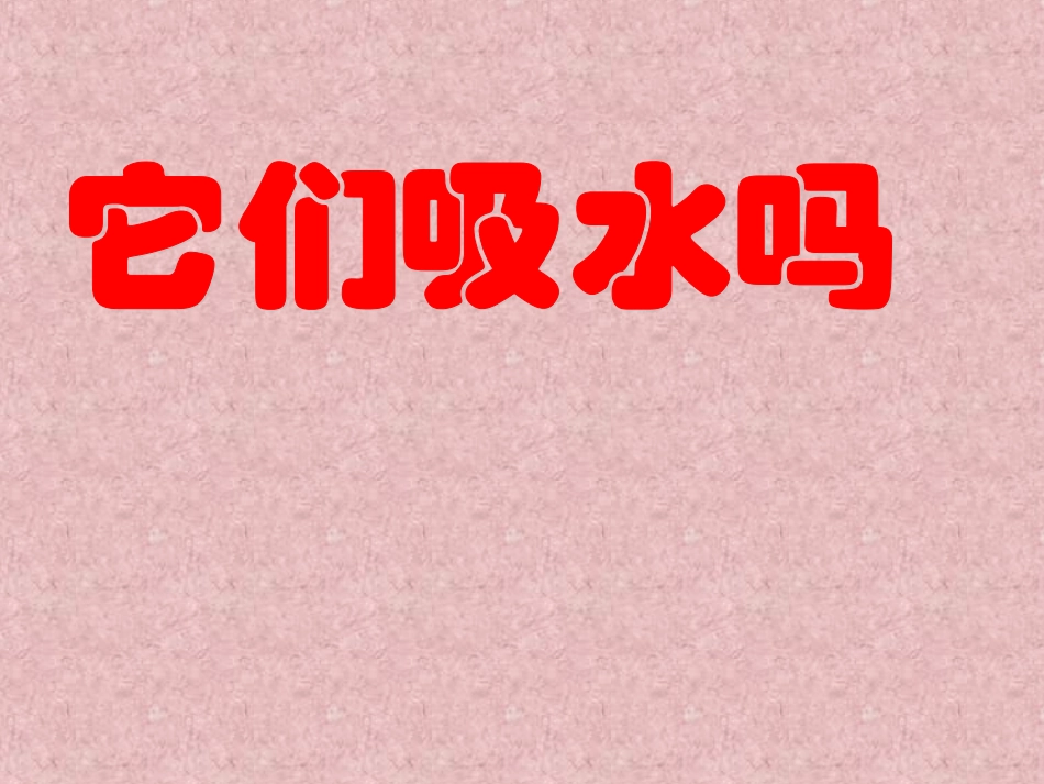 《它们吸水吗》课件1_第1页