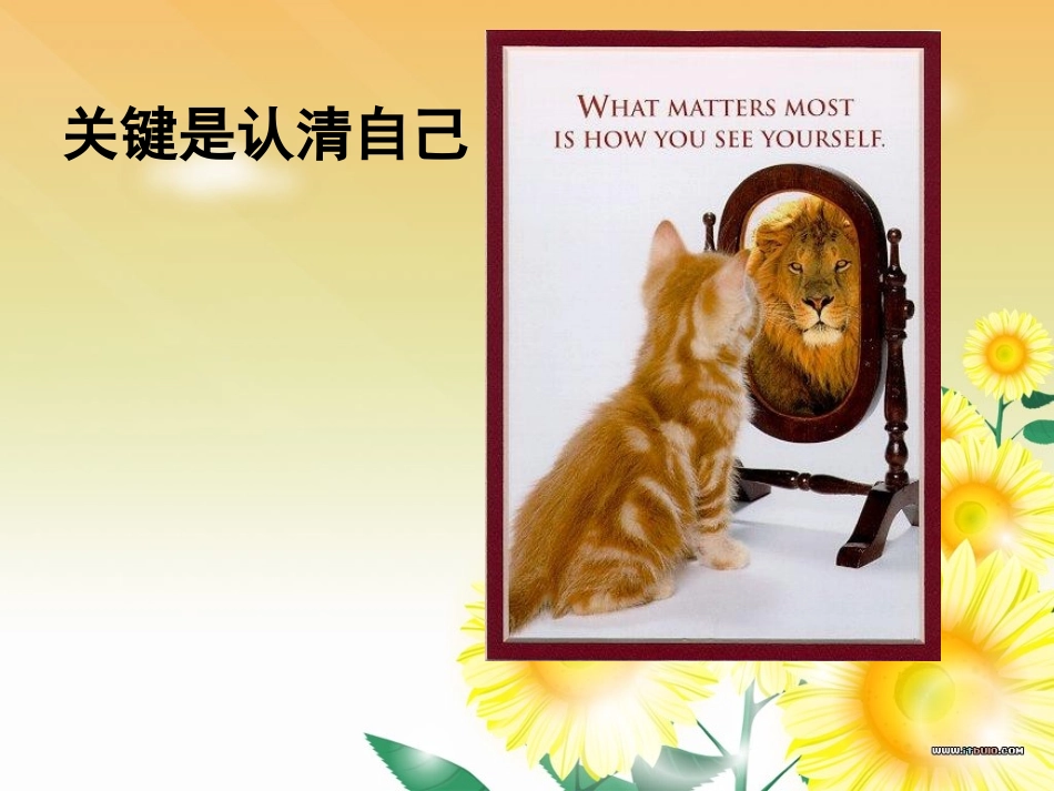 教师形象塑造与课堂礼仪_第2页