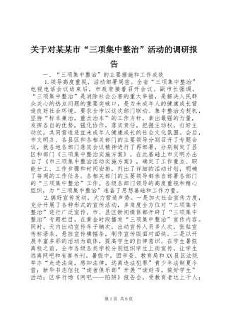 关于对某某市“三项集中整治”活动的调研报告