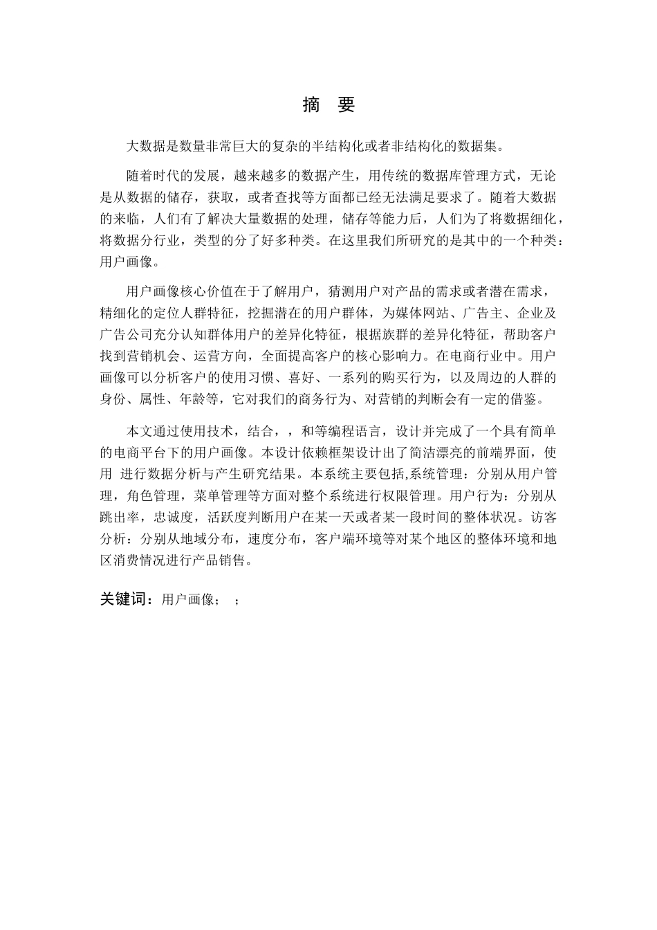 电商平台下用户画像的设计与分析_第2页