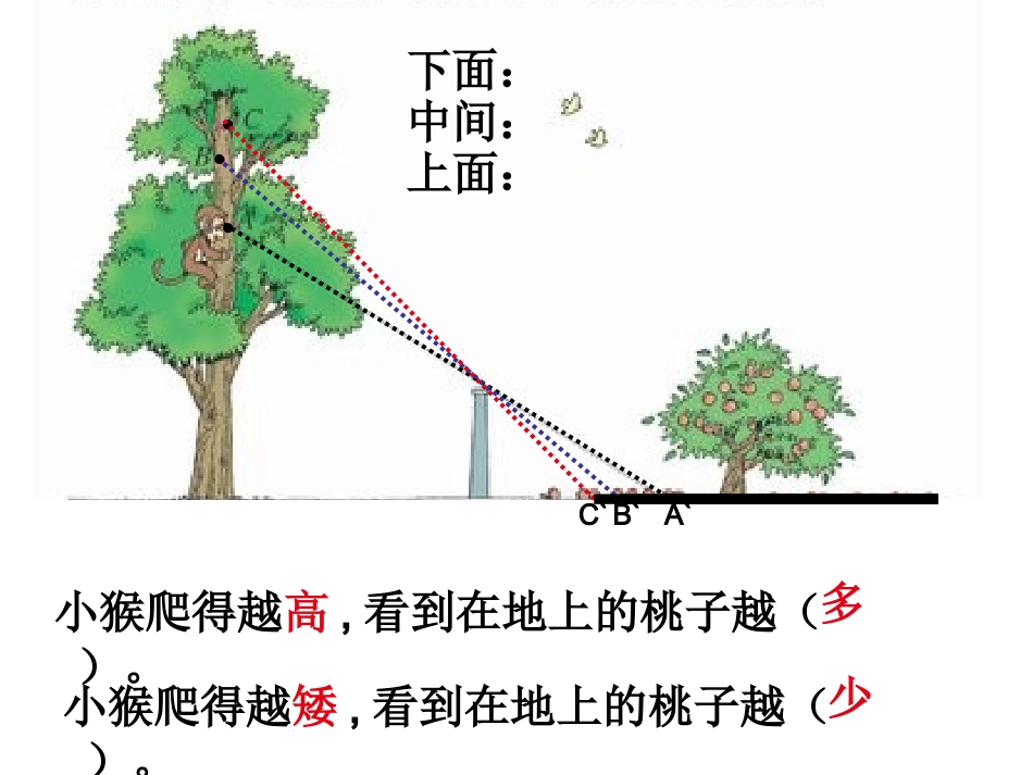 北师大版数学六年级上册《观察的范围》课件_第2页