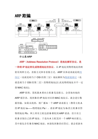 超全ARP知识