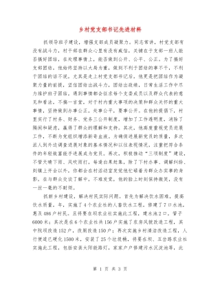 乡村党支部书记先进材料