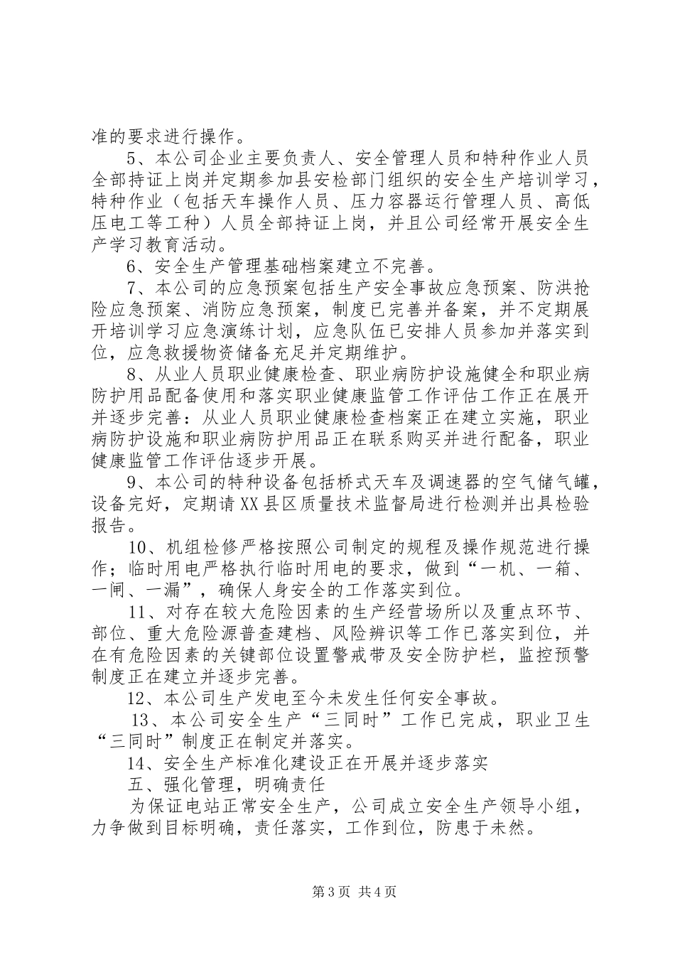 电站公司安全生产自查报告_第3页