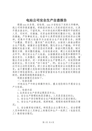 电站公司安全生产自查报告