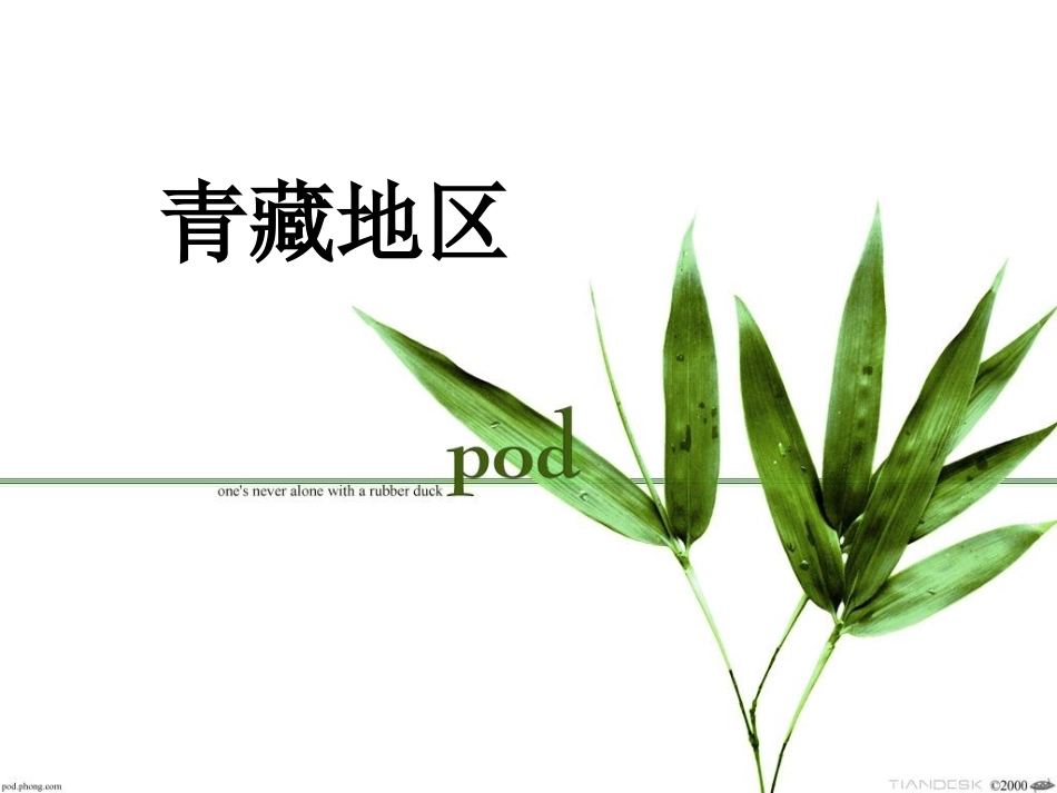 复习青藏地区_第1页