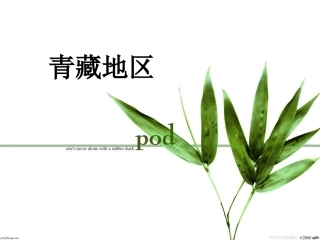 复习青藏地区