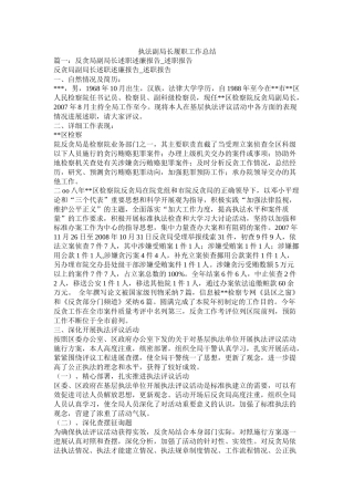 执法副局长履职工作总结