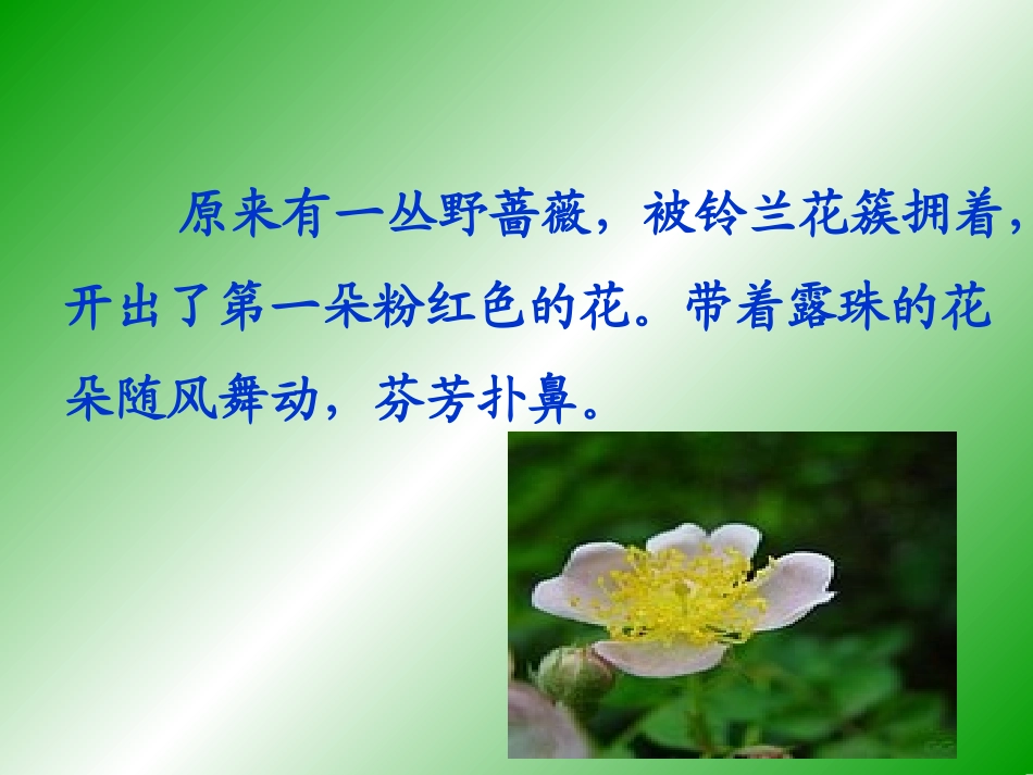 我不是最弱小的 (2)_第3页
