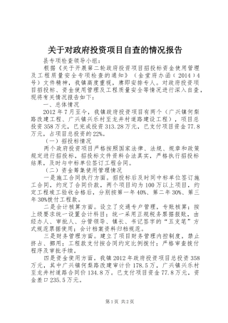关于对政府投资项目自查的情况报告