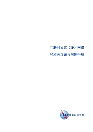 互联网协议(IP)网络