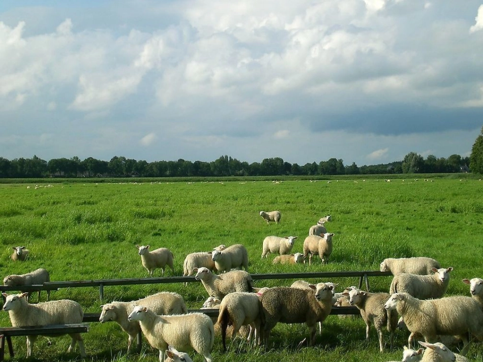 草原云顶小学李林青_第2页