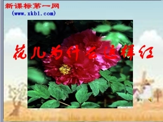 《花儿为什么这样红》（语文版八上）