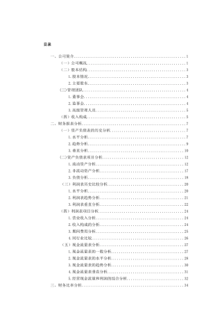 青岛股份有限公司财务分析报告
