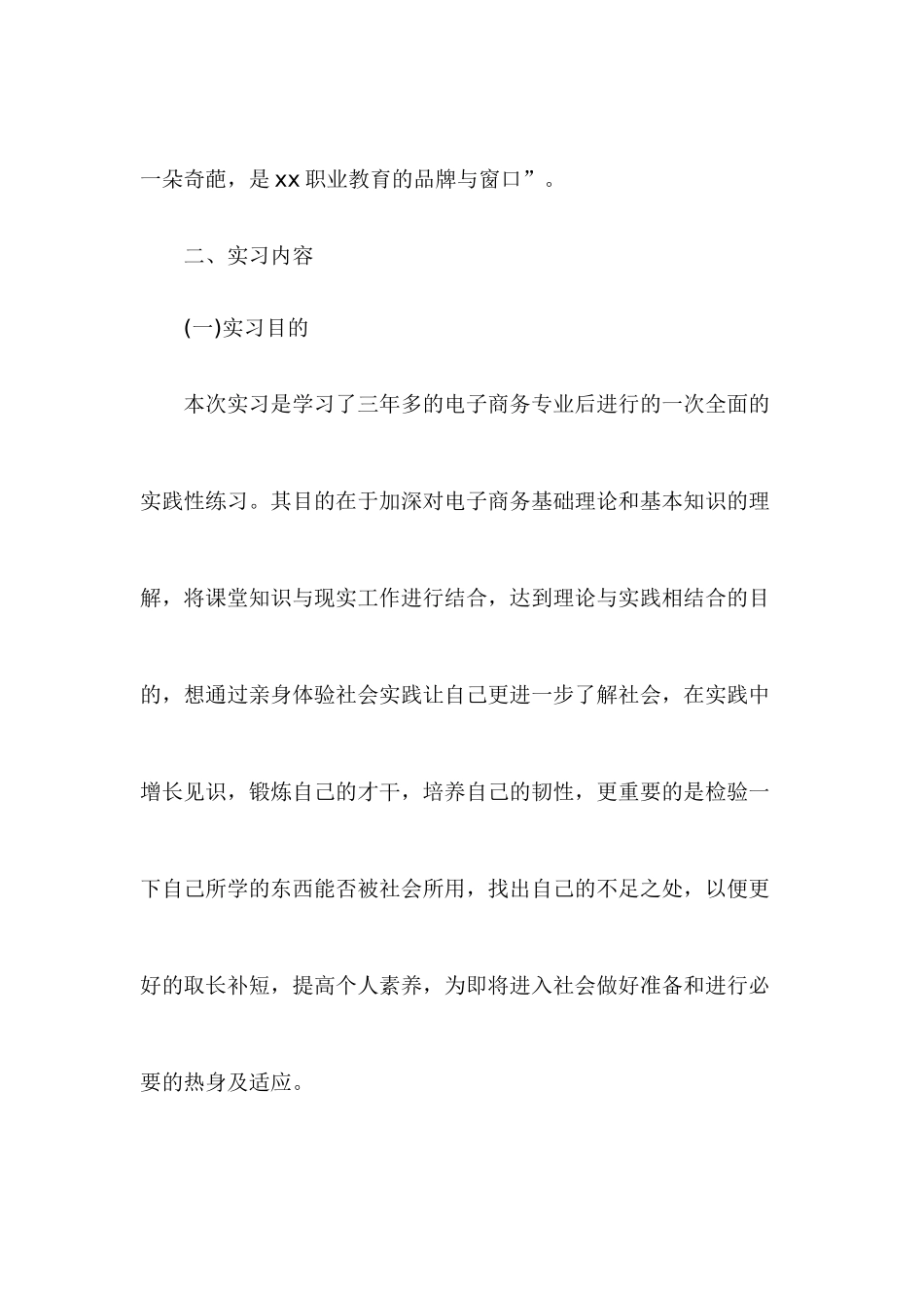 电子商务专业毕业实习报告_第3页