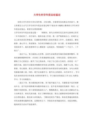 大学生村官年度总结鉴定