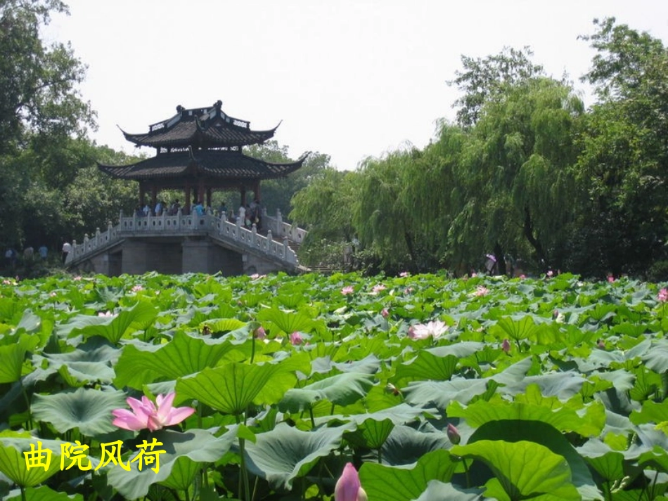 饮湖上初晴后雨_第3页