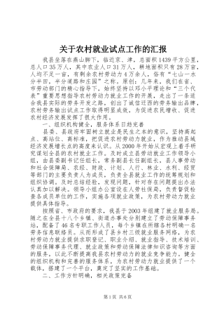 关于农村就业试点工作的汇报