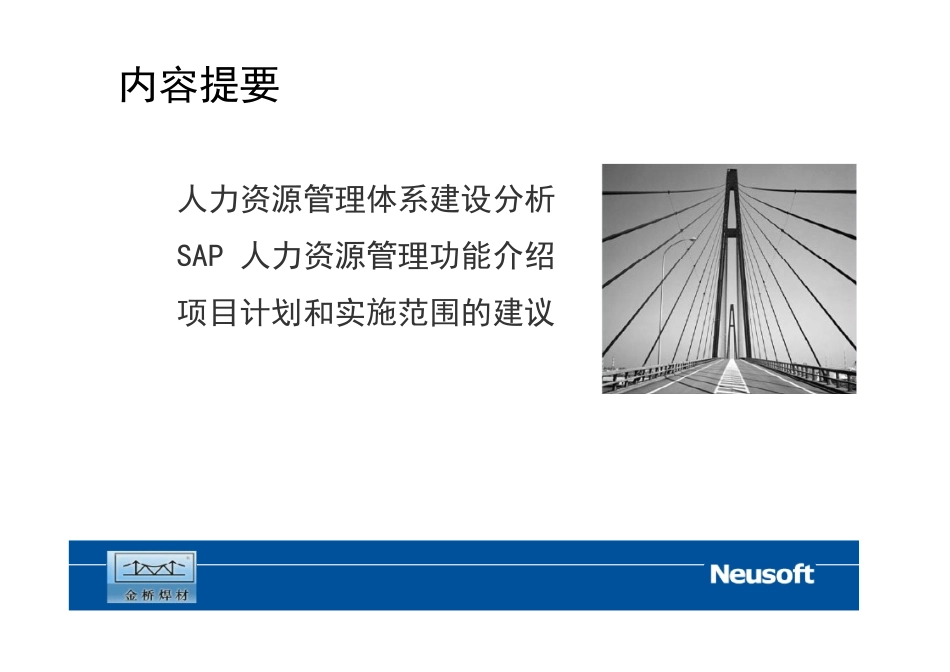 SAPHR功能介绍_第2页