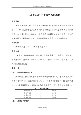 XX市XX区电子政务现状