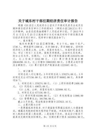 关于城东村干部任期经济责任审计报告