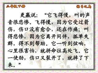惊弓之鸟第二课时