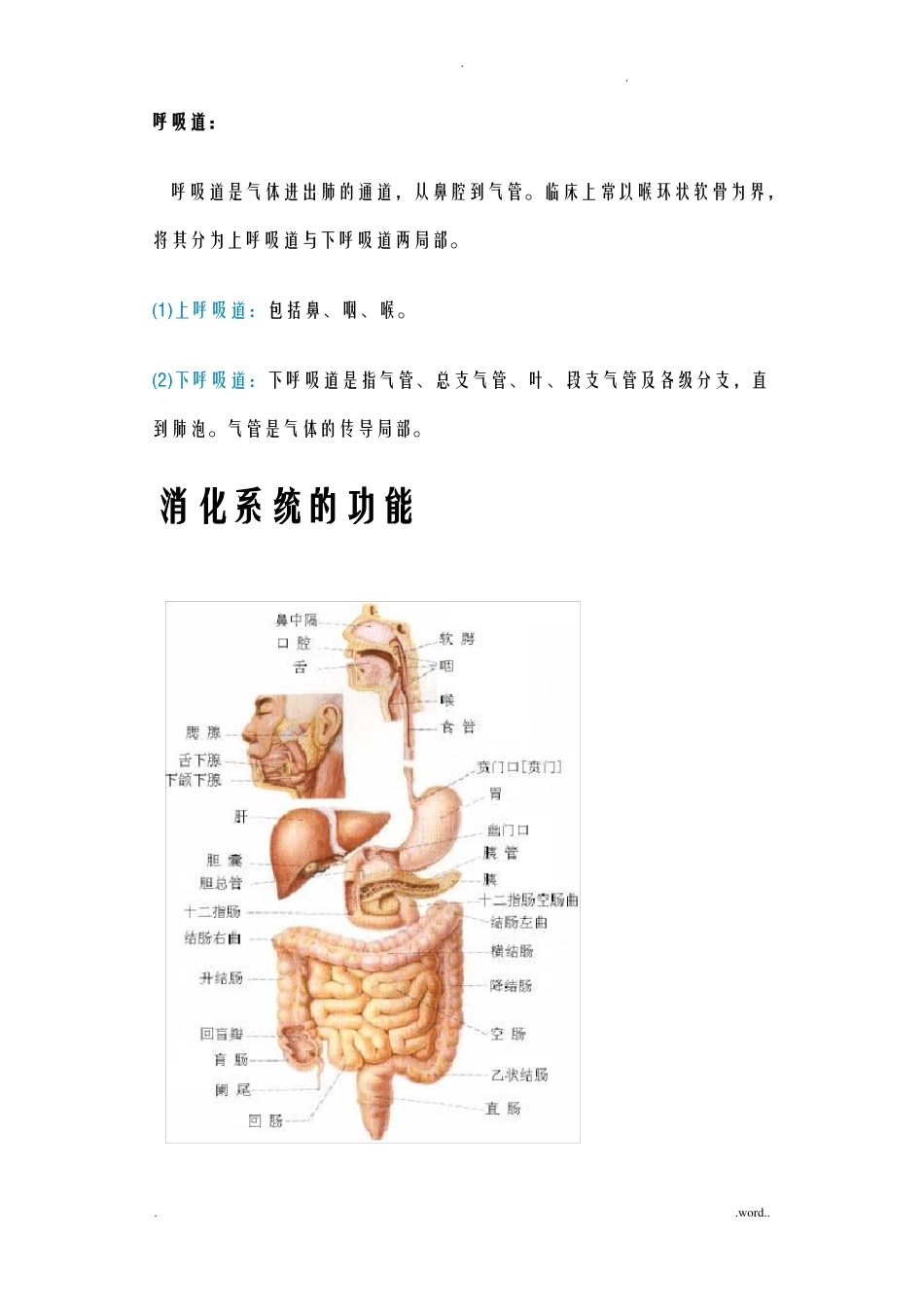 人体八大系统大全_第2页