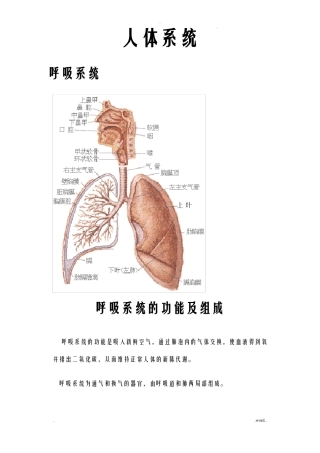 人体八大系统大全