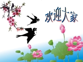 《白桦林好地方》课件