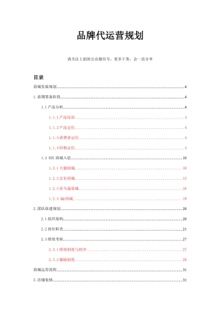 电商平台项目运营规划