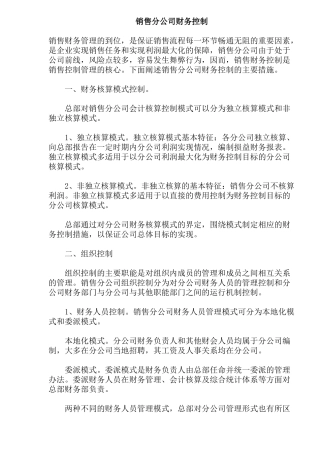 销售分公司财务控制( 11)