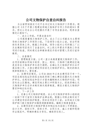 公司文物保护自查自纠报告