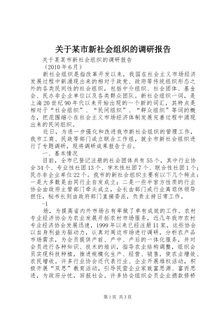 关于某市新社会组织的调研报告